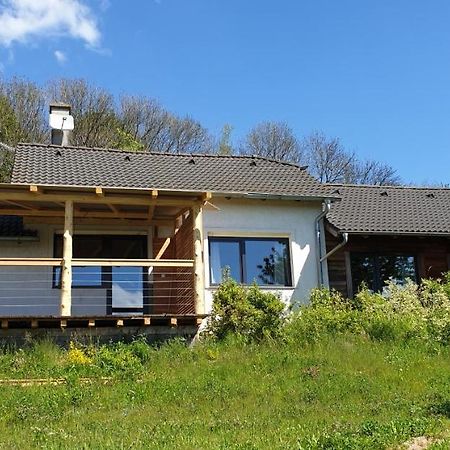 Apartman Nezichov Toužim Exterior foto